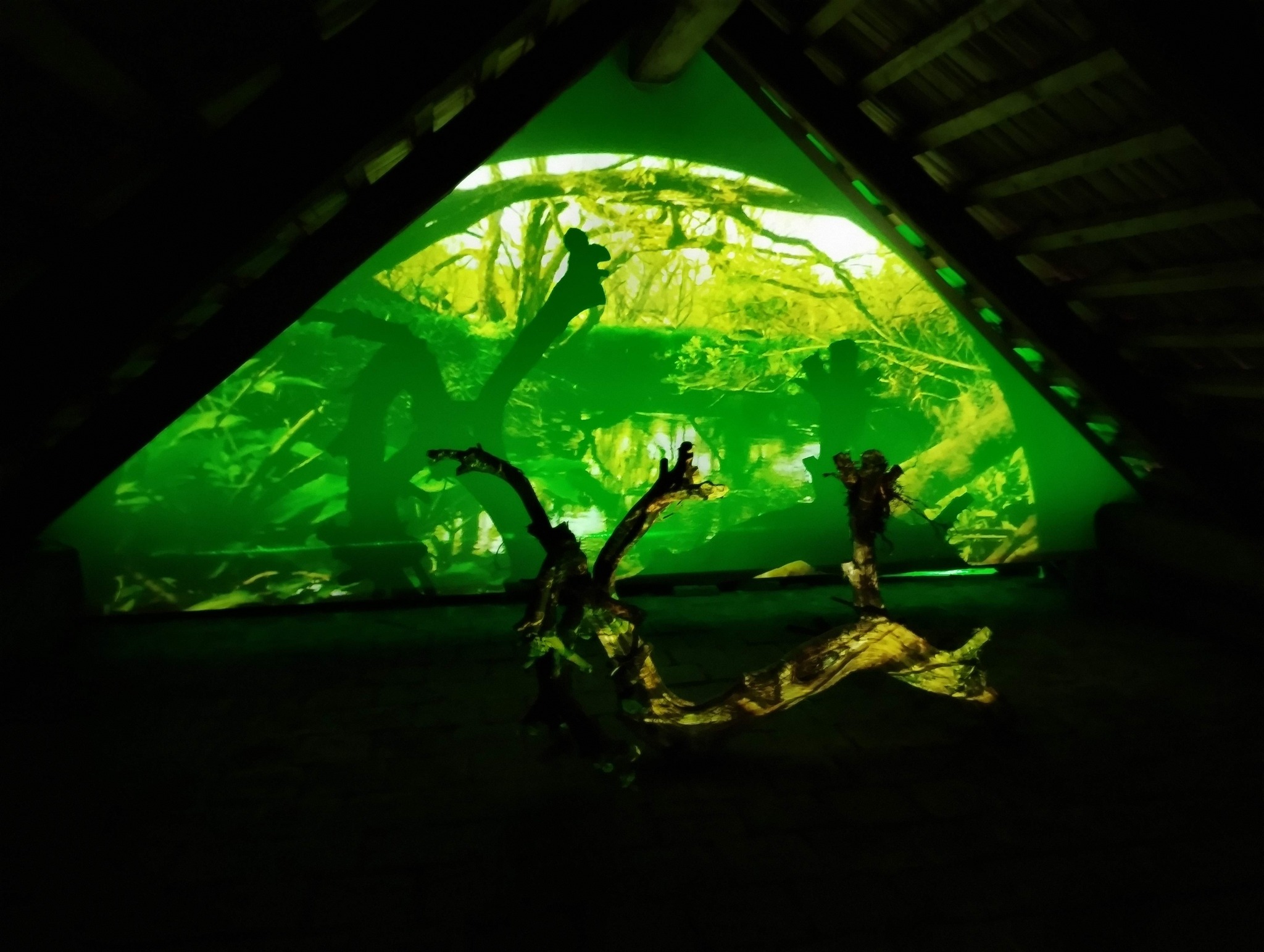 508681566_10234297950904201_2895821394275976686_n